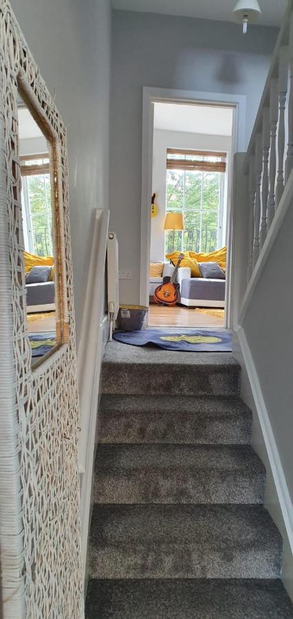 Camden Guest House Double Bedroom With Super Large King Bed London Eksteriør billede